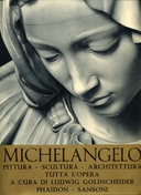 Michelangelo