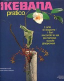 Ikebana Pratico