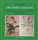 Orchidee Romane