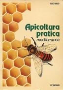 Apicoltura Pratica Mediterranea