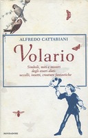 Volario