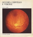 Occhio, Cervello e Visione